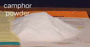 Synthetic Camphor Powder